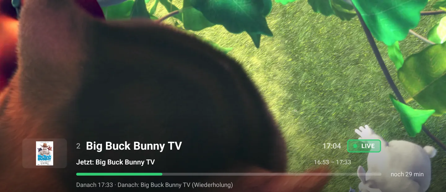 Live playback in the TV app · German interface, demo catalogue